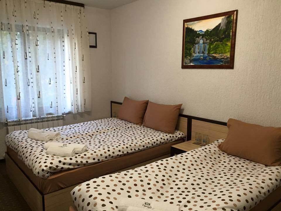 Family Hotel Ginger Pamporovo Esterno foto